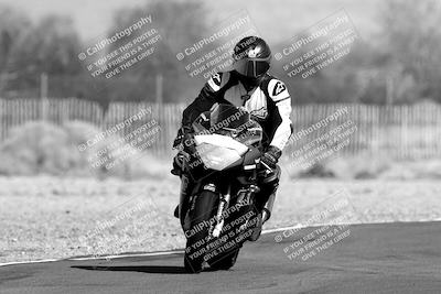 media/Feb-04-2023-SoCal Trackdays (Sat) [[8a776bf2c3]]/Around the Pits (Track Entry-Exit)/